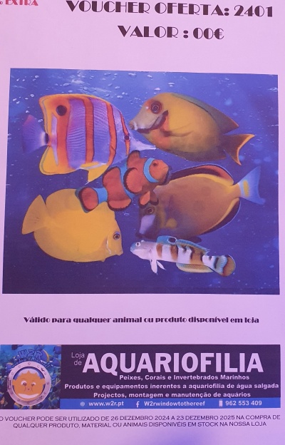 Voucher oferta aquariofilia com peixes coloridos em fundo azul