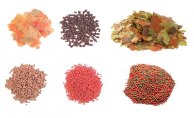 Seis montes de alimentos para peixes com várias cores e texturas diferentes