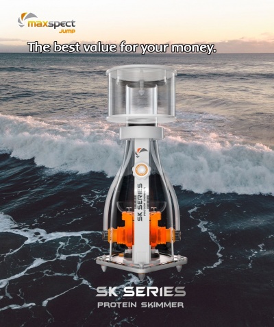Protein skimmer SK Series da maxspect Jump com fundo de mar