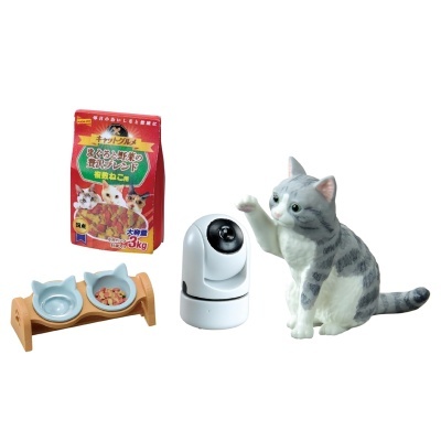 Acessórios para gato incluindo comedouro duplo, saco de ração, câmara e gato cinzento levantando a pata