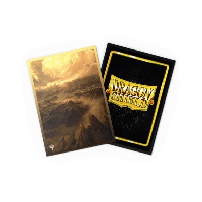 Duas cartas de jogo, uma dourada com paisagem e outra preta com texto DRAGON SHIELD