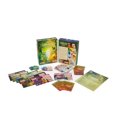 Jogo de cartas Familiar Find com cartas coloridas e caixas verde e roxa