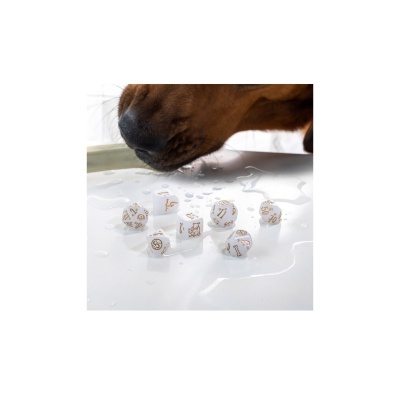 Dados brancos com símbolos dourados em superfície molhada e focinho de cão castanho