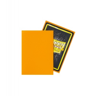 Dois cadernos, um laranja e outro com capa preta e texto 'DRAGON SHIELD'