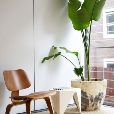 Cadeira de madeira com mesa branca e planta em vaso em interior claro.