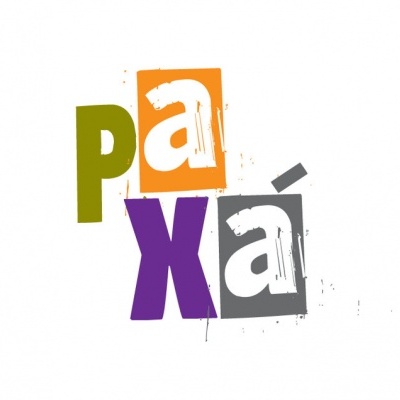 Logotipo com a palavra paxái em blocos de cores diferentes