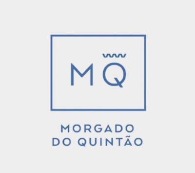 Logótipo azul de MORGADO DO QUINTÃO com letras MQ e coroa