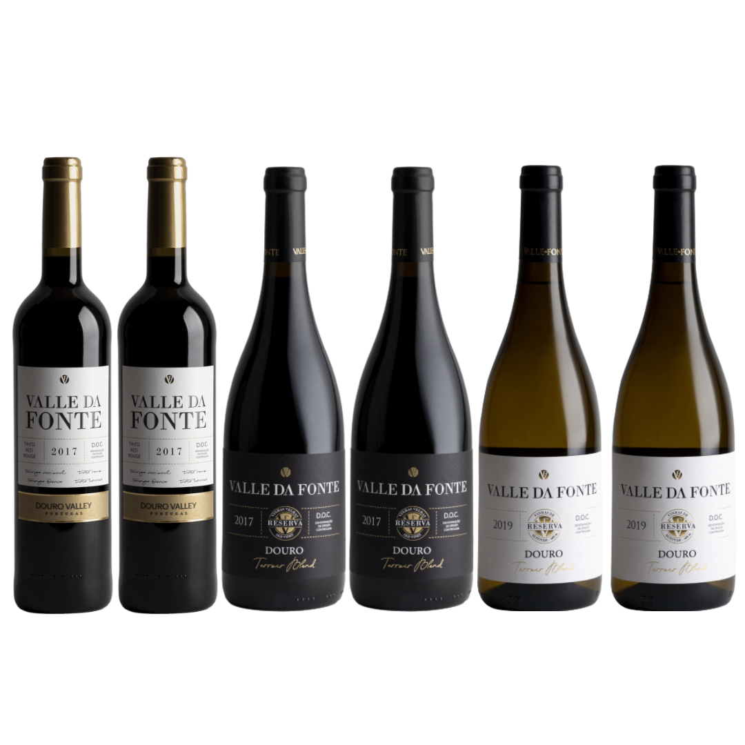 Seis garrafas de vinho Valle Da Fonte, tintos e brancos, rótulos preto e branco, fundo branco