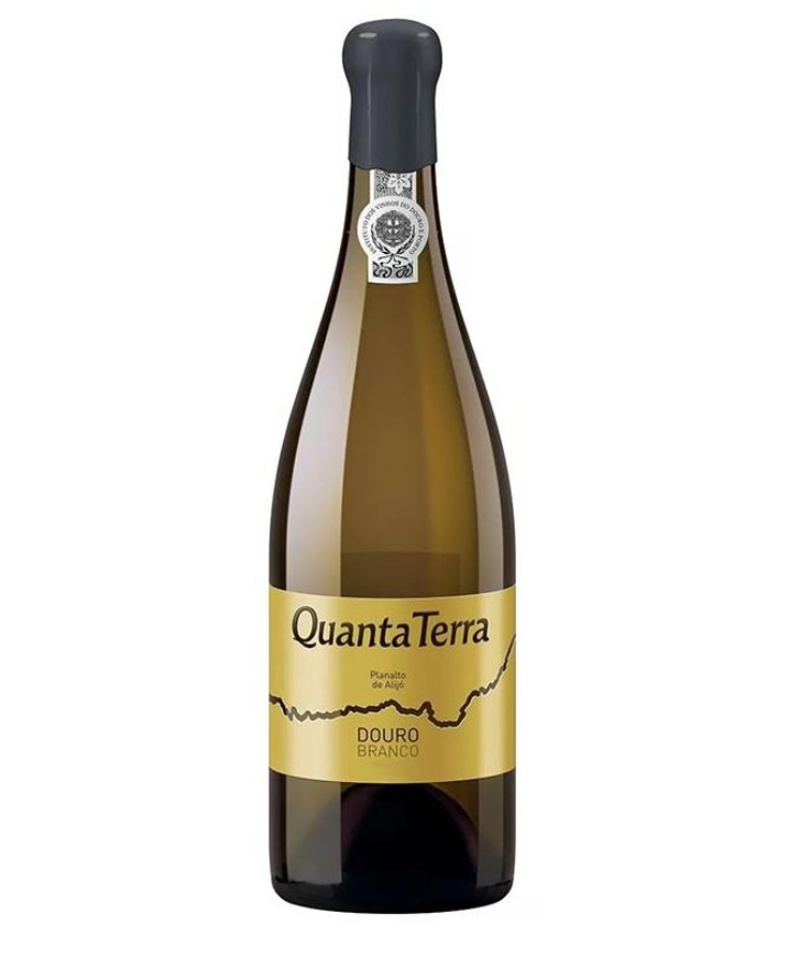 Garrafa de vinho branco Quanta Terra com rótulo amarelo
