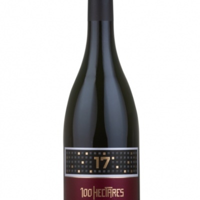 Garrafa de vinho tinto 100 Hectares Douro com rótulo preto e granada