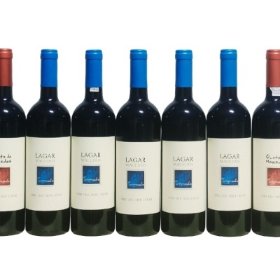 Sete garrafas de vinho tinto com rótulos brancos e cápsulas azuis e vermelhas alinhadas