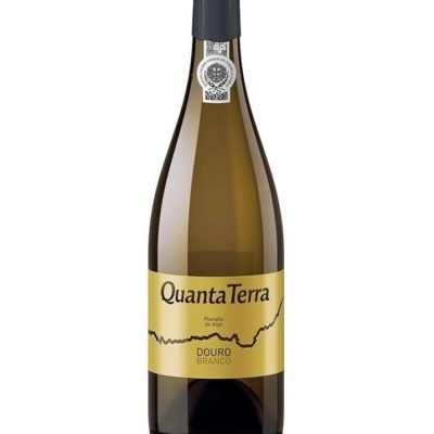 Garrafa de vinho branco Quanta Terra com rótulo amarelo