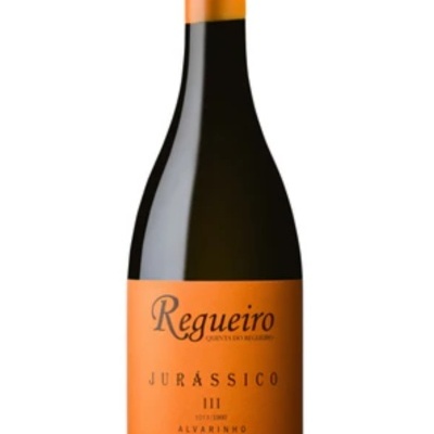 Garrafa de vinho Regueiro Jurássico III Alvarinho com rótulo laranja