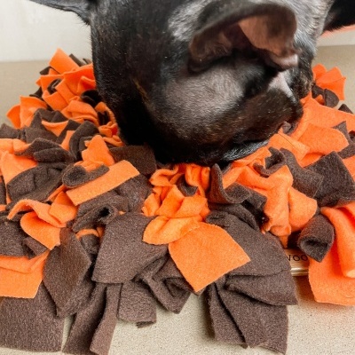 Tapete para cães laranja e castanho com cão preto a cheirá-lo