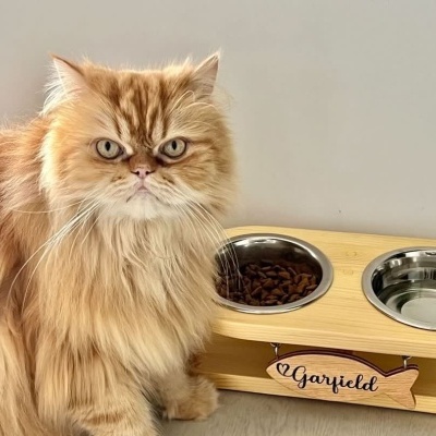 Gato laranja ao lado de comedouro duplo de madeira com gamelas de metal e placa dizendo Garfield