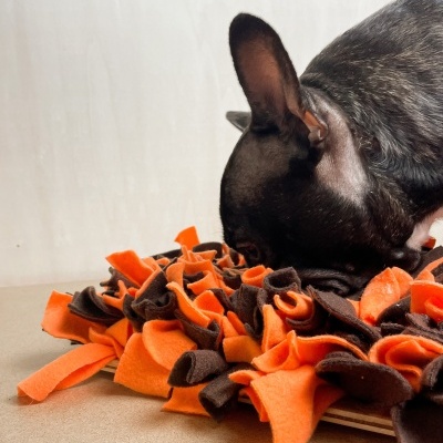 Tapete de treino para cães em tecido laranja e castanho com cão preto a farejar