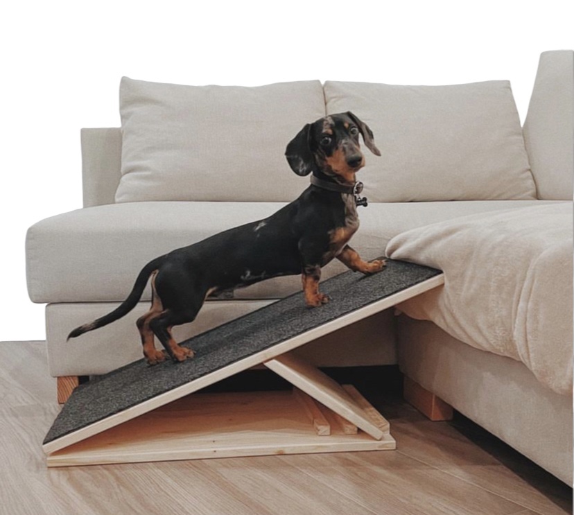 Rampa para cães em madeira clara com superfície cinza escuro ao lado de sofá bege