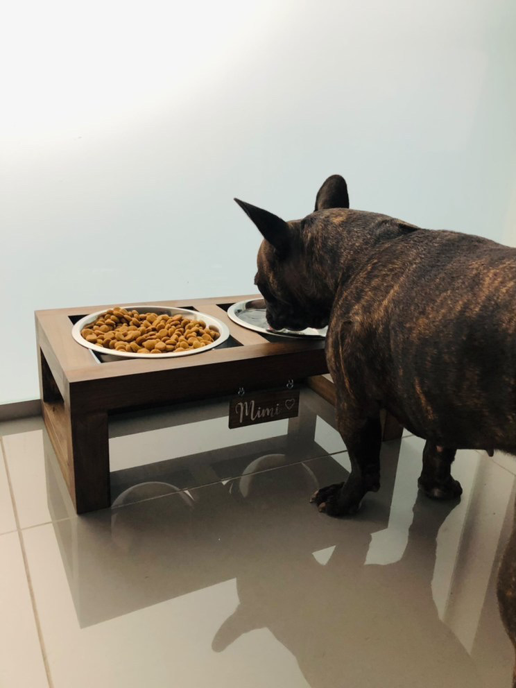 Comedouro elevado de madeira com duas tigelas metálicas, cão bulldog francês a beber
