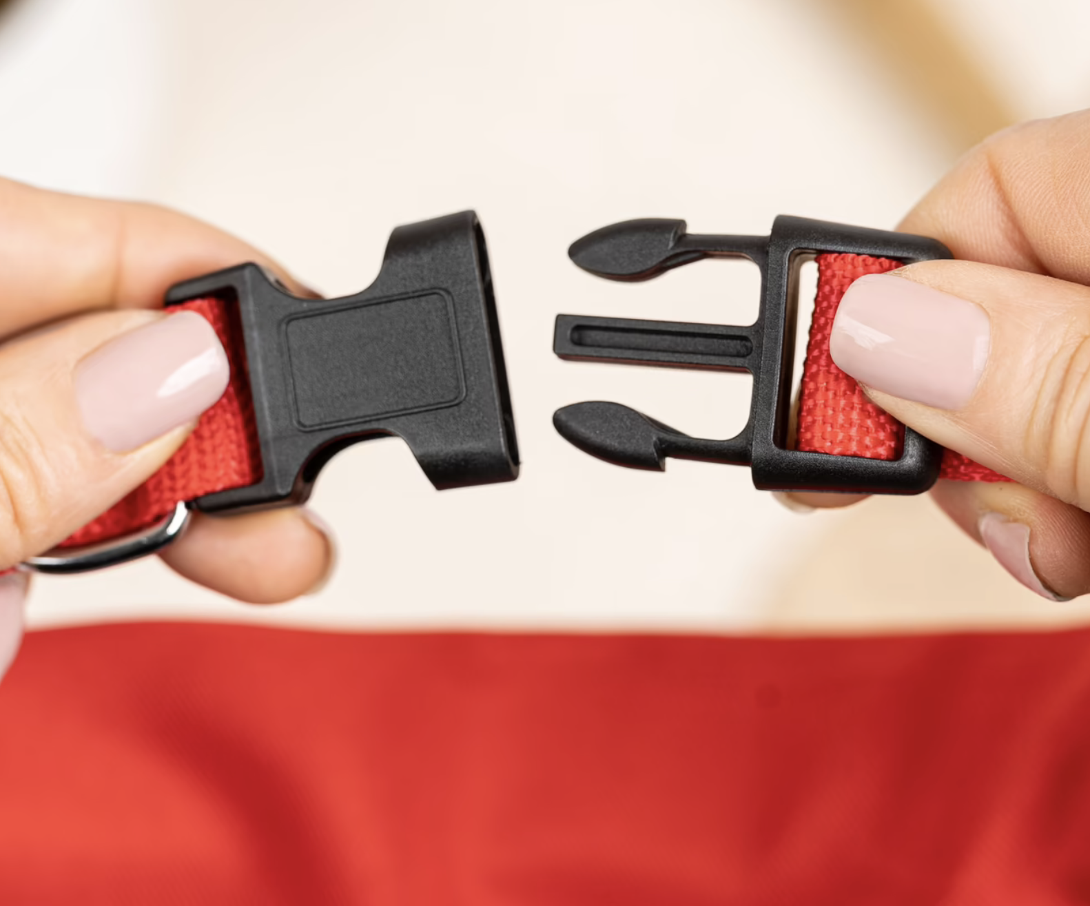 Fecho preto de plástico e correia vermelha de tecido nas mãos