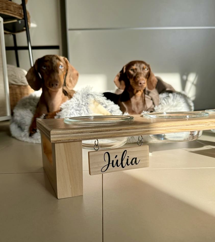 Comedouro elevado de madeira com taças de vidro e placa com nome 'Júlia'. Dois cães castanhos ao fundo.