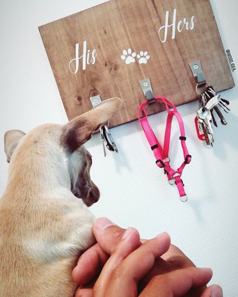 Suporte de madeira com ganchos para chaves e trela, e um cão a olhar.