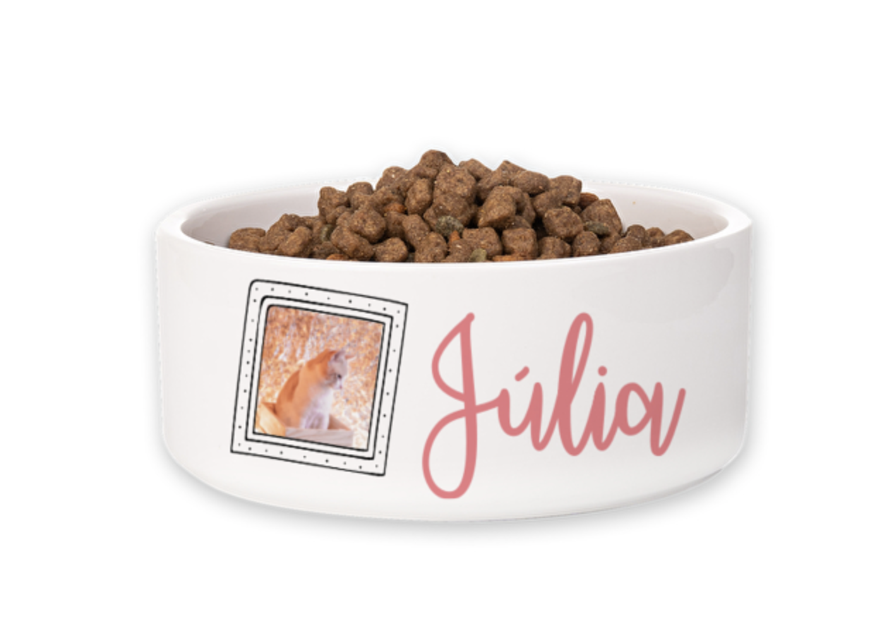 Taça branca para alimentos para gato com nome Júlia e foto do gato