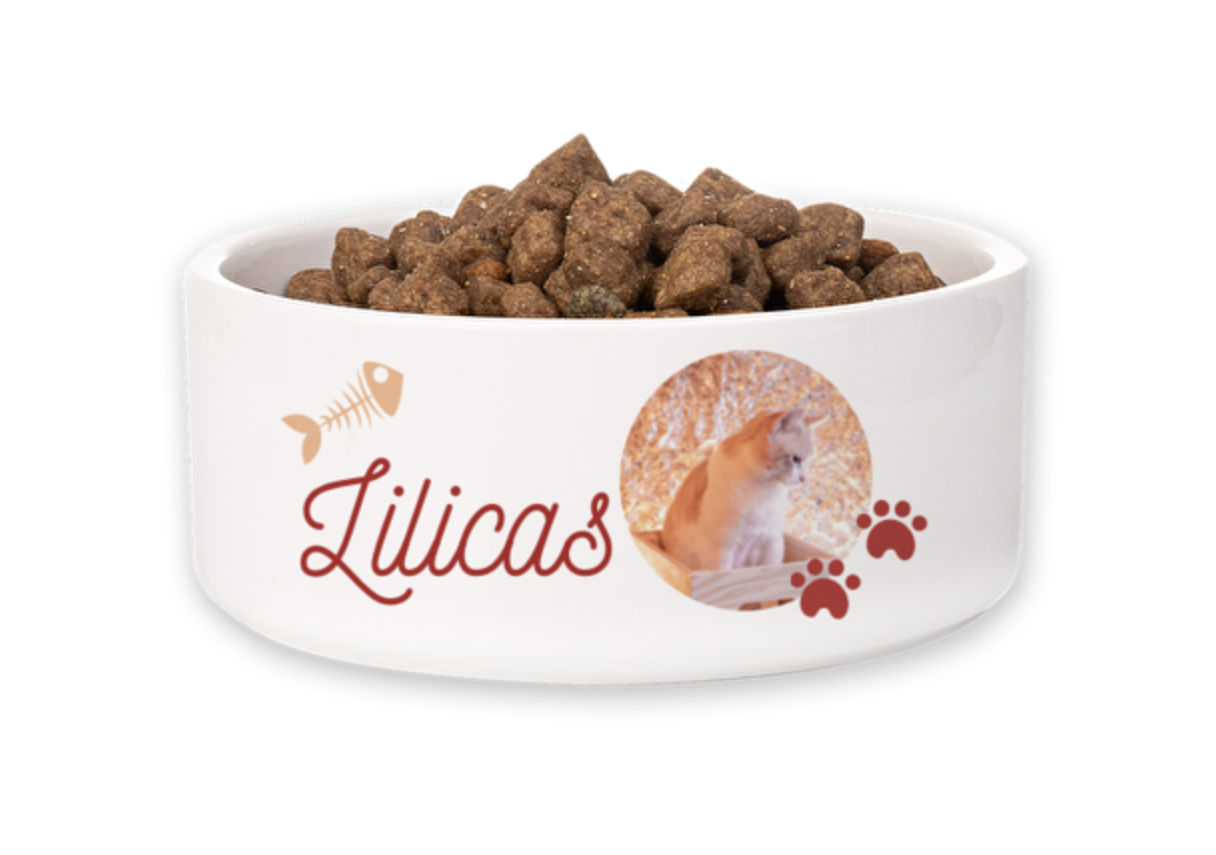 Tigela branca para gato com ração e decoração com palavra Lilicas e imagem de gato