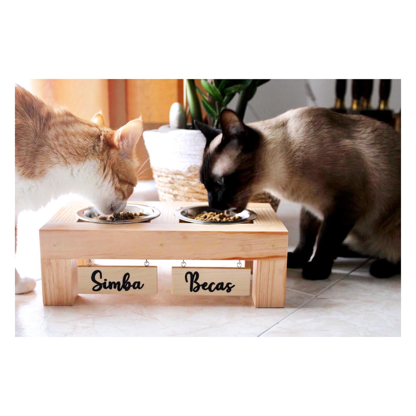 Comedouro elevado em madeira com duas taças de metal e nomes personalizados em placas penduradas, dois gatos a comer, ambiente interior com plantas e cortinas cor de salmão.