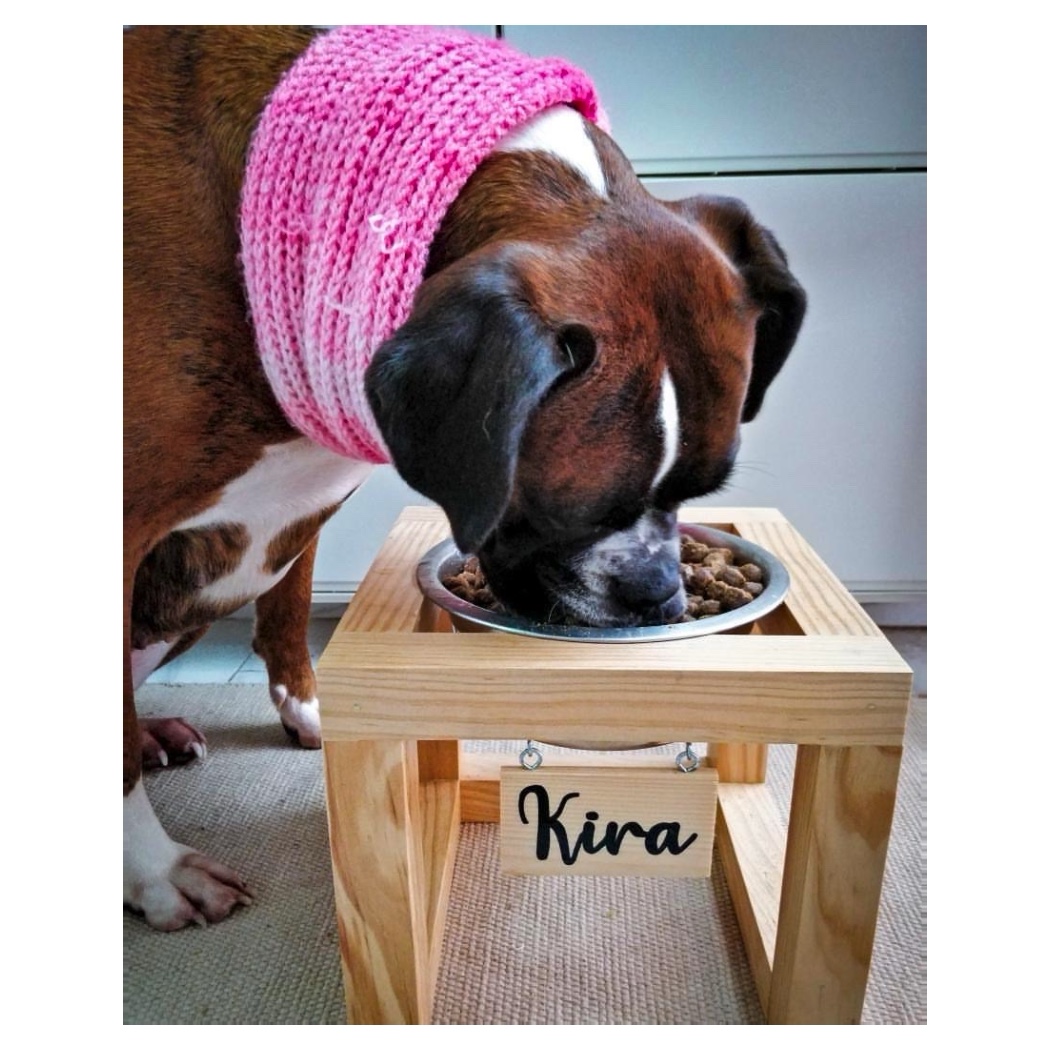 Cão a comer ração numa tigela sobre suporte de madeira com placa com nome 'Kira' e gola de malha rosa.