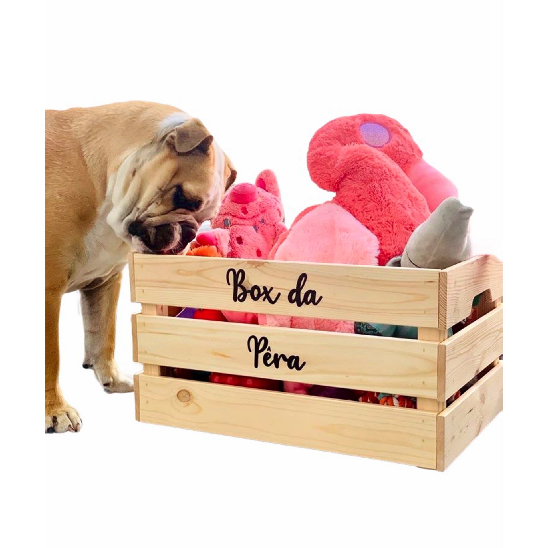 Caixa de madeira com brinquedos de pelúcia e cão a cheirar