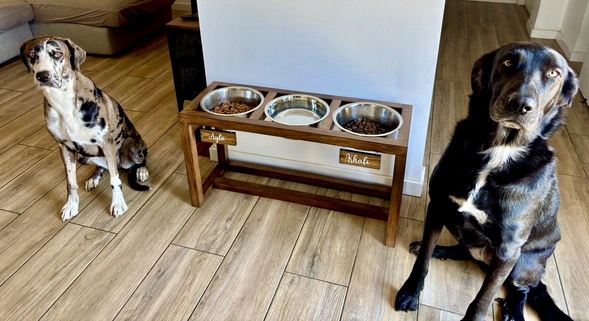 Comedouro elevado para cães com três tigelas de inox e nome personalizado, junto a dois cães