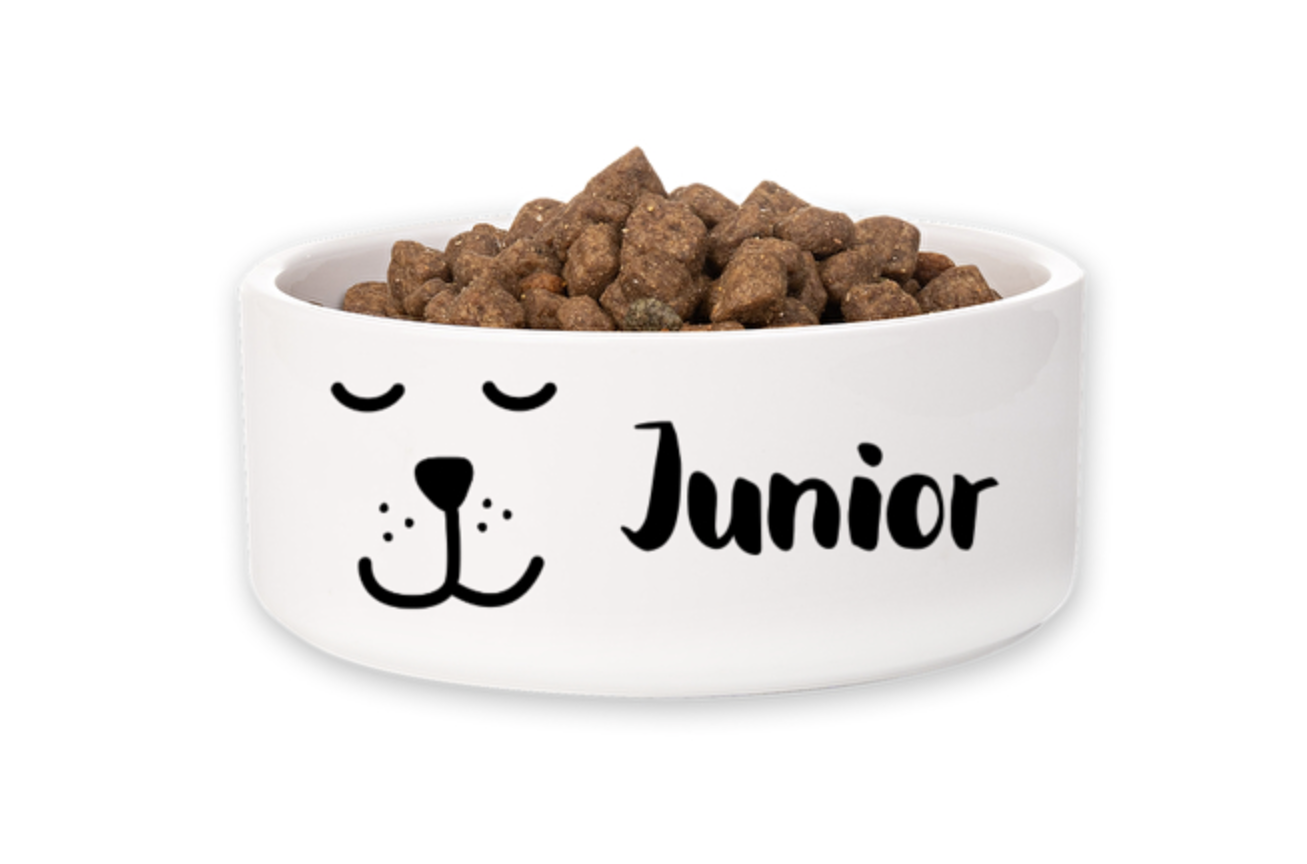 Tigela branca com desenho e ração para animais