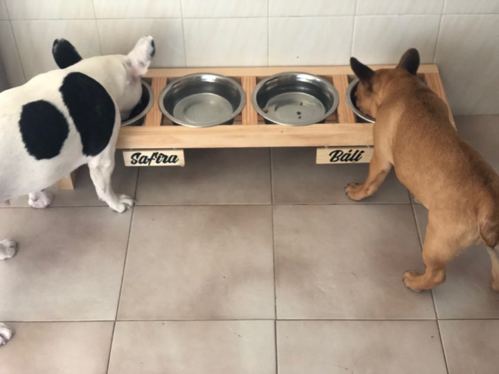 Comedouro duplo para cães de madeira com duas tigelas de metal e etiquetas com nomes Safira e Bált, cão a comer em cada lado
