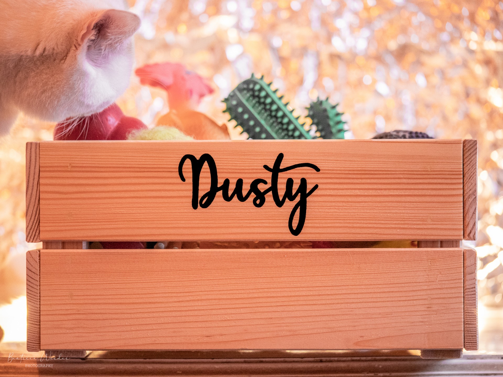 caixa de madeira com brinquedos e gato ao lado