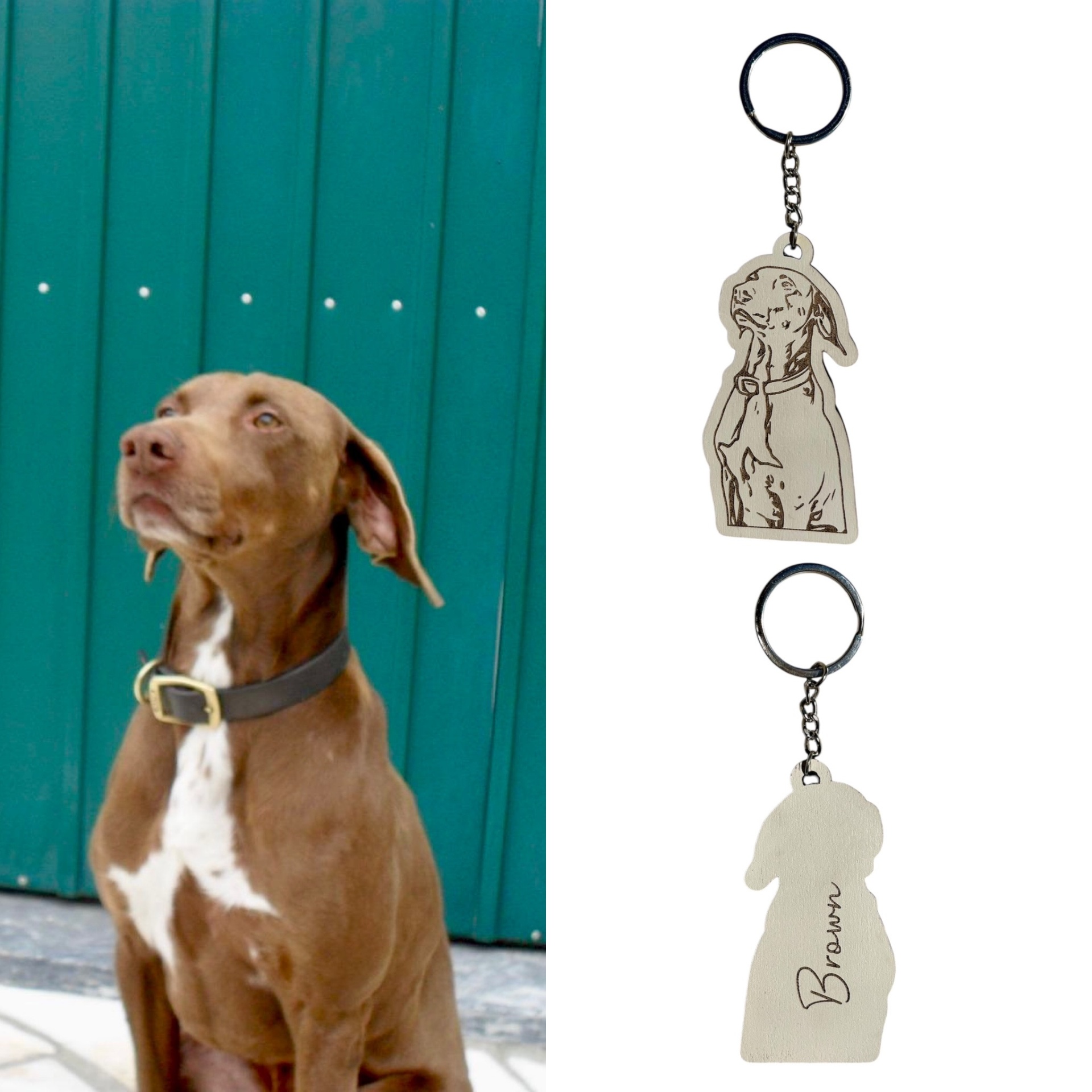 Porta verde com cão castanho e branco e dois porta-chaves de cão