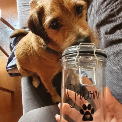 Frasco de vidro com texto 'Demon' e pata preta segurado perto de cão castanho