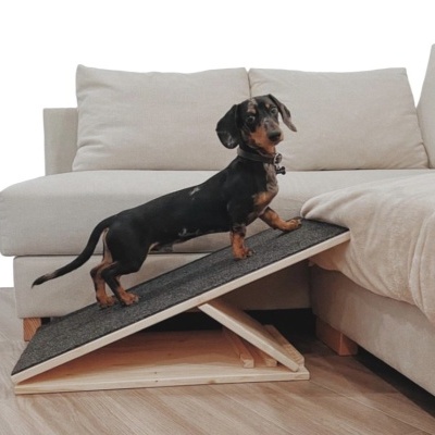 Rampa para cães em madeira clara com superfície cinza escuro ao lado de sofá bege