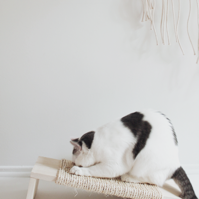 Ratoeira para gatos em madeira e corda com gato branco e preto a arranhar