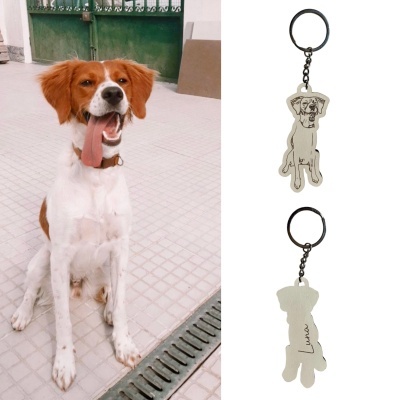 Cão castanho e branco sentado e dois porta-chaves com desenho de cão