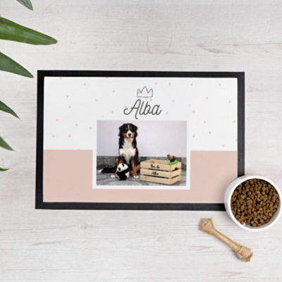 Tapete para alimentação de cão personalizado com nome Alba, fotografia de cão e caixa de madeira, sobre superfície clara com prato de ração e osso de brinquedo.