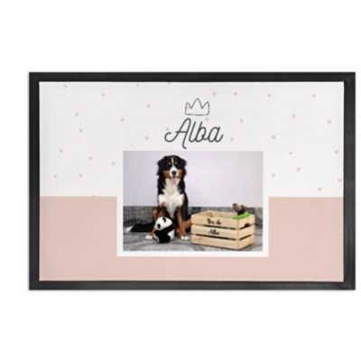 Moldura preta com foto de cães e texto Alba com coroa num fundo branco e rosa claro.