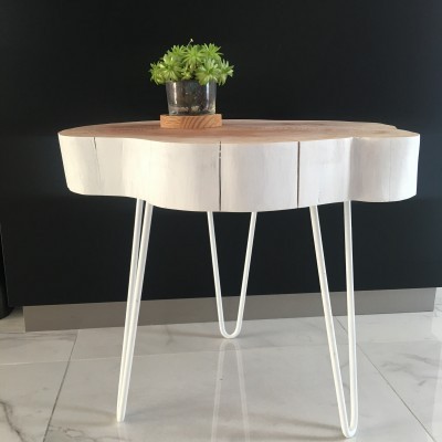 Mesa pequena de madeira com pernas brancas e vaso de plantas suculentas