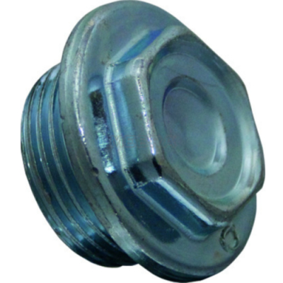 Parafuso ou tampa metálica prateada com rosca visível e cabeça hexagonal.