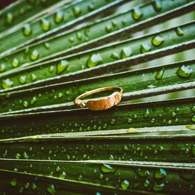 Anel dourado ondulado sobre folha verde com gotas de água