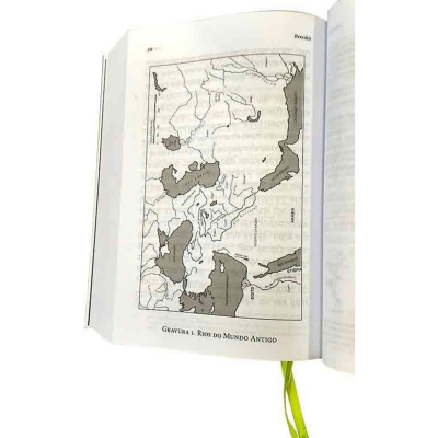 Página de livro aberta com mapa antigo em preto e cinza e texto 'GRAVURA 1. RIOS DO MUNDO ANTIGO'