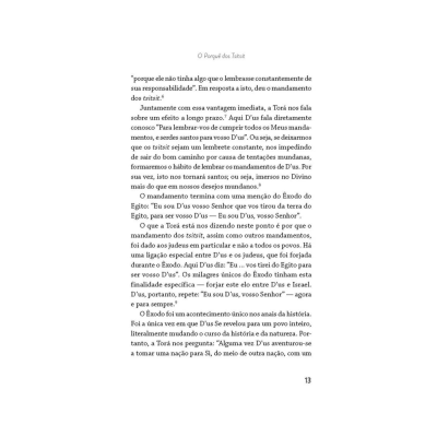 Página de livro em português com texto e número 13