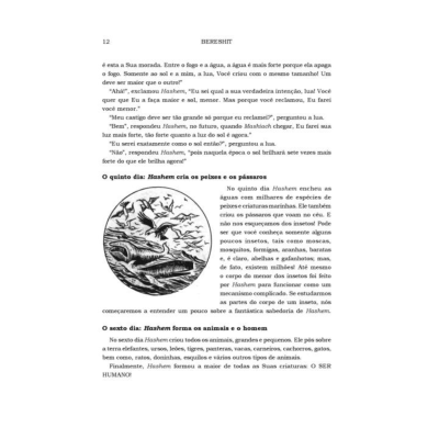 Página de livro com texto em português e ilustração em preto e branco de pássaros e insetos