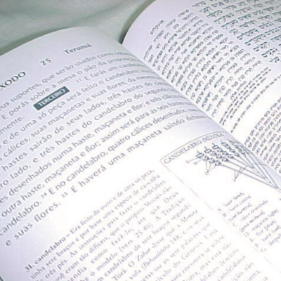 Livro aberto com texto e ilustrações técnicas em português.