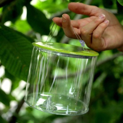 Recipiente cilíndrico transparente com tampa verde e alça