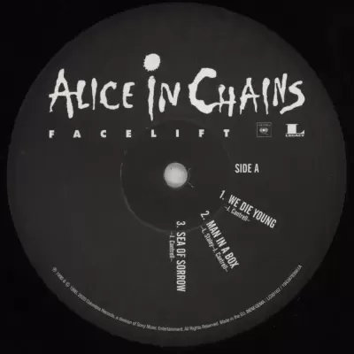 Vinil preto com etiqueta da banda Alice In Chains e texto branco